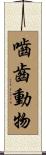 嚙齒動物 Scroll
