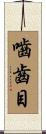 嚙齒目 Scroll