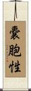 嚢胞性 Scroll