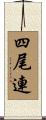 四尾連 Scroll