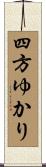 四方ゆかり Scroll