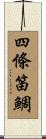 四條笛鯛 Scroll