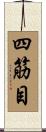 四筋目 Scroll