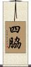 四脇 Scroll