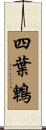 四葉鵯 Scroll