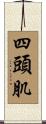 四頭肌 Scroll