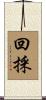 回採 Scroll