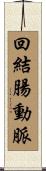 回結腸動脈 Scroll