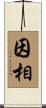 因相 Scroll