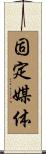 固定媒体 Scroll