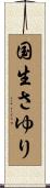 国生さゆり Scroll