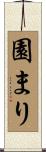 園まり Scroll
