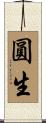 圓生 Scroll