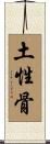 土性骨 Scroll