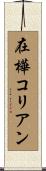 在樺コリアン Scroll