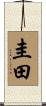 圭田 Scroll