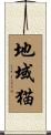 地域猫 Scroll