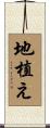 地植え Scroll