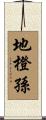 地橙孫 Scroll