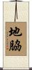 地脇 Scroll