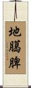 地臈脾 Scroll