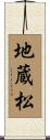 地蔵松 Scroll