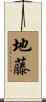 地藤 Scroll