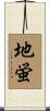 地蛍 Scroll