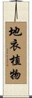 地衣植物 Scroll