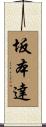 坂本達 Scroll