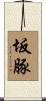 坂豚 Scroll