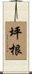 坪根 Scroll
