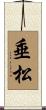 垂松 Scroll