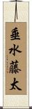 垂水藤太 Scroll