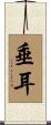 垂耳 Scroll