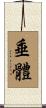 垂體 Scroll