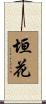 垣花 Scroll