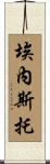 Ernesto Scroll
