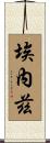 Enez Scroll