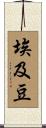 埃及豆 Scroll