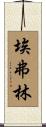 Everlyn Scroll