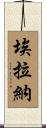 Elana Scroll