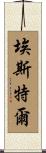 Ester Scroll