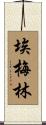 Emelyn Scroll