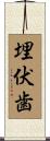 埋伏歯 Scroll