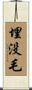 埋没毛 Scroll