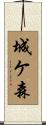 城ケ森 Scroll
