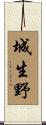 城生野 Scroll
