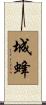 城蜂 Scroll