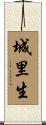 城里生 Scroll